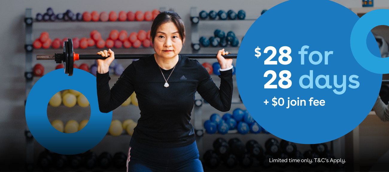 Webpage banner displaying member promo: $28 for 28 days